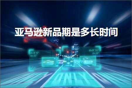 网站关键词排名推广公司 跨境电商知识:亚马逊新品期是多长时间